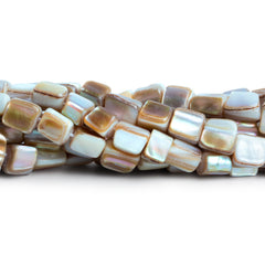 Shell Beads