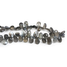 7x5mm Platinum Moonstone Faceted Pears 8 inch 55 beads - The Bead Traders