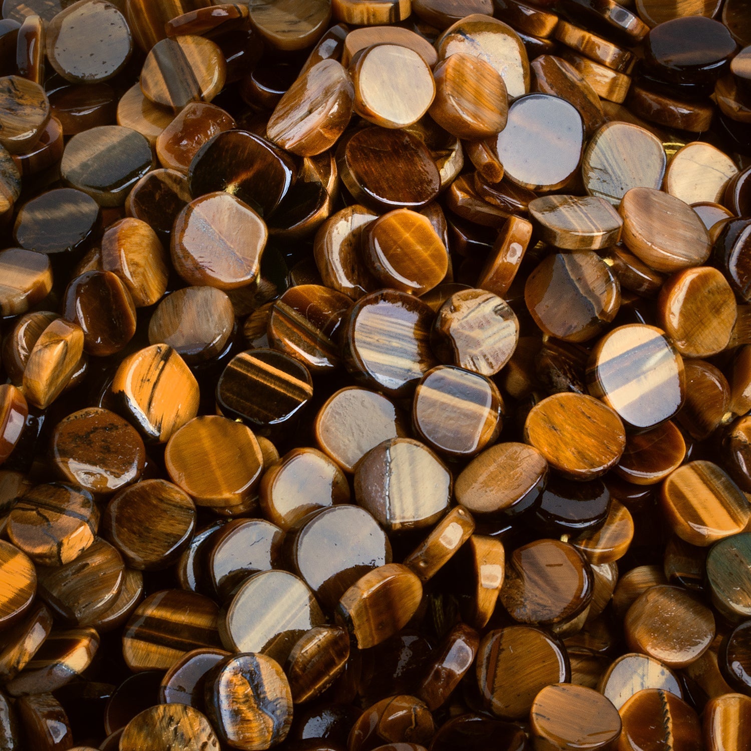 8 - 12mm Tiger's Eye Handcut Coins 12 inch 33 beads - The Bead Traders