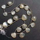 8 - 14mm Cream Moonstone Plain Hearts 10 inch 20 beads - The Bead Traders