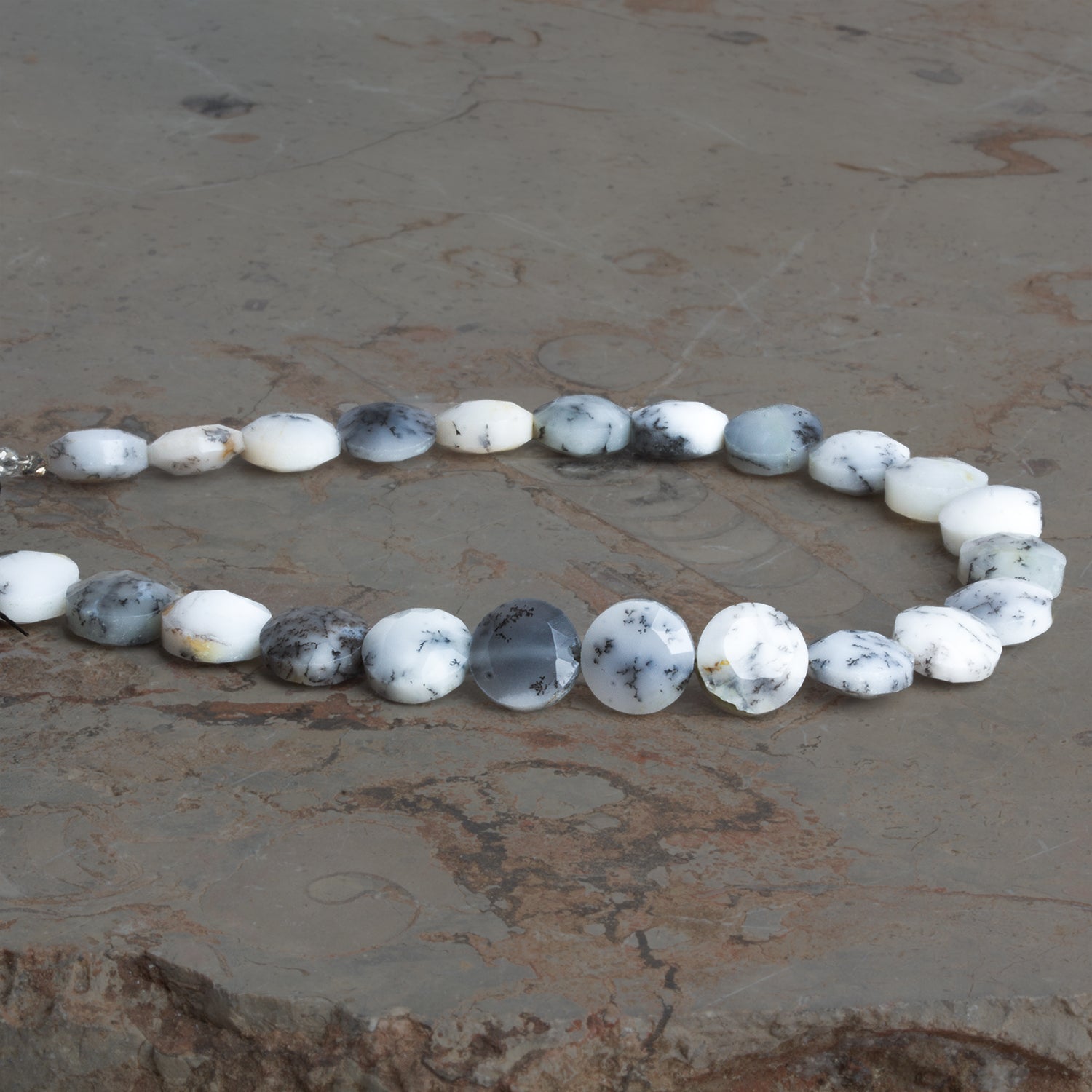 8 - 8.5mm Dendritic Opal Faceted Coins 7.5 inch 23 beads - The Bead Traders