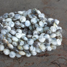 8 - 8.5mm Dendritic Opal Faceted Coins 7.5 inch 23 beads - The Bead Traders