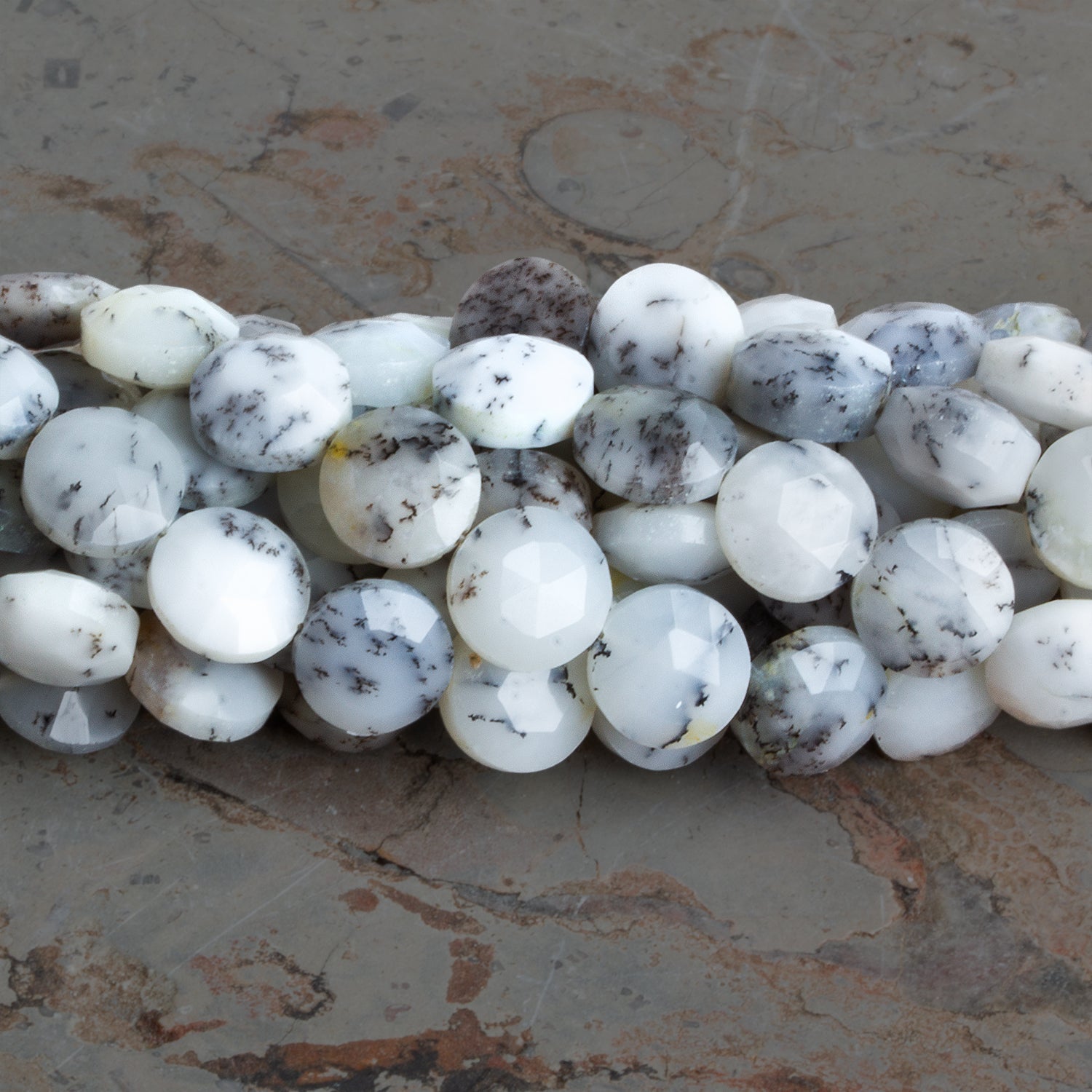8 - 8.5mm Dendritic Opal Faceted Coins 7.5 inch 23 beads - The Bead Traders