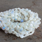 8mm Rainbow Moonstone Faceted Coins 7.5 inch 23 beads - The Bead Traders