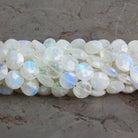 8mm Rainbow Moonstone Faceted Coins 7.5 inch 23 beads - The Bead Traders