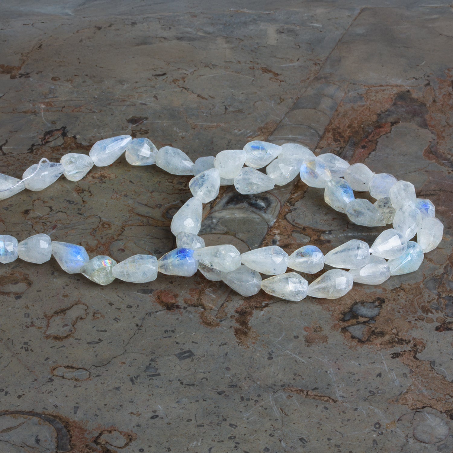 8x6mm Rainbow Moonstone Faceted Teardrops 14 inch 44 beads - The Bead Traders