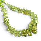 9x6mm Grossular Garnet Faceted Pears 8.5 inch 65 beads - The Bead Traders