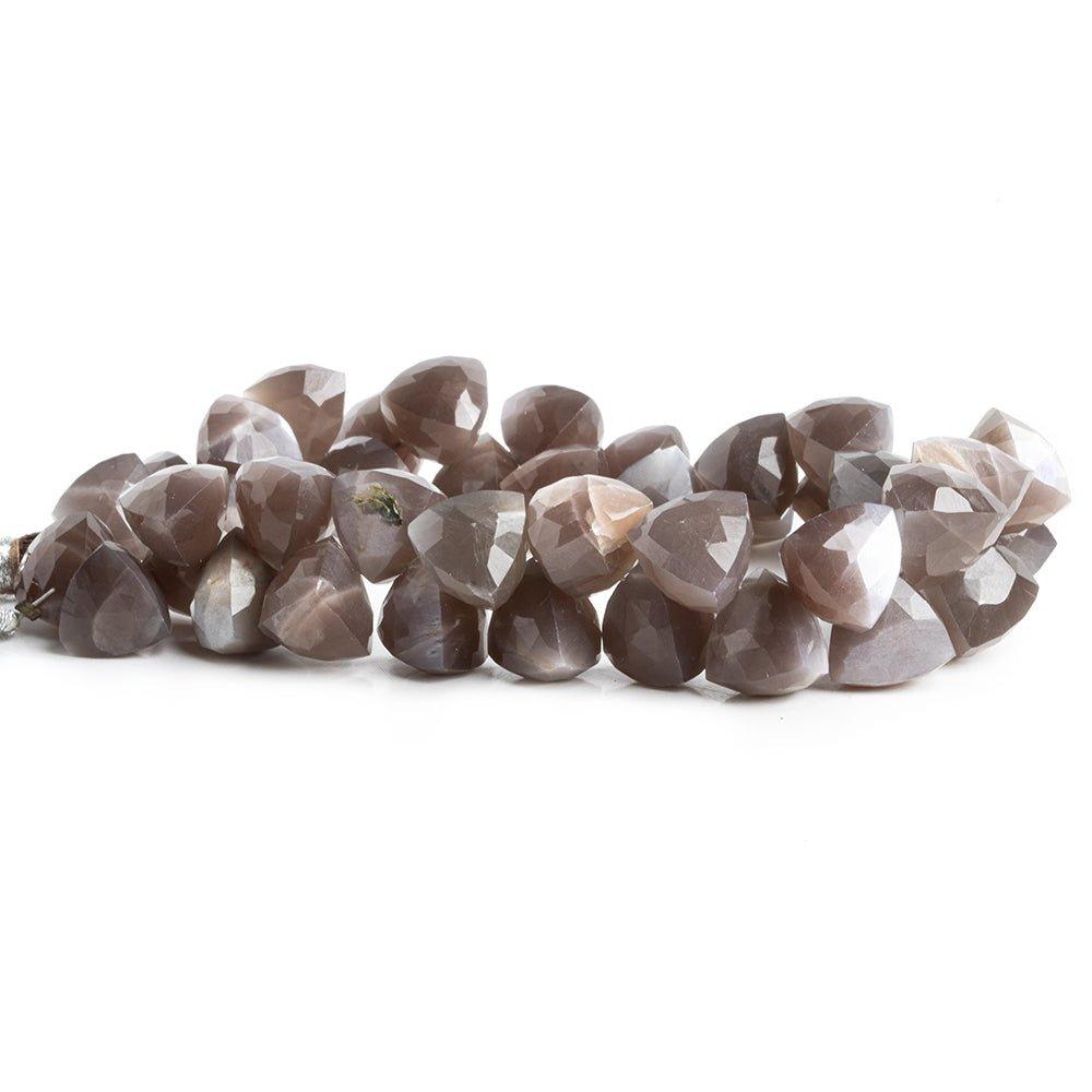 10mm-11mm Chocolate Moonstone Faceted Trillion Beads 8 inch 44 pieces - The Bead Traders
