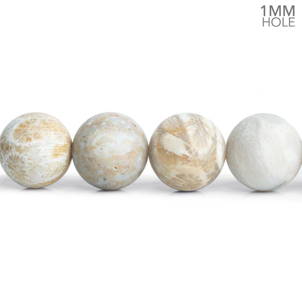 10mm Matte Fossilized Coral Plain Round Beads 15 inch 38 pieces - The Bead Traders