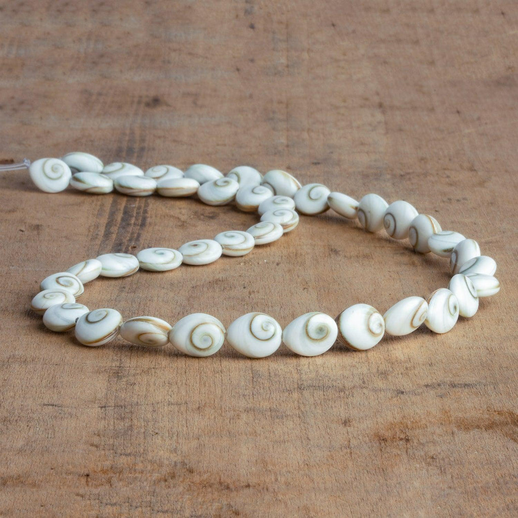 10x8mm Shiva Eye Shell Ovals 16 inch 41 beads - The Bead Traders