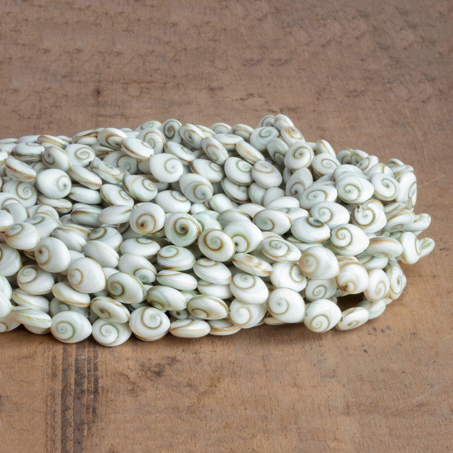 10x8mm Shiva Eye Shell Ovals 16 inch 41 beads - The Bead Traders