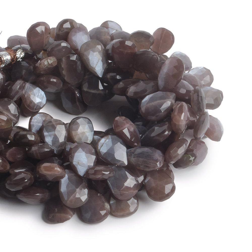 11x9-14x9mm Chocolate Brown Moonstone faceted pears 8 inch 40 beads - The Bead Traders