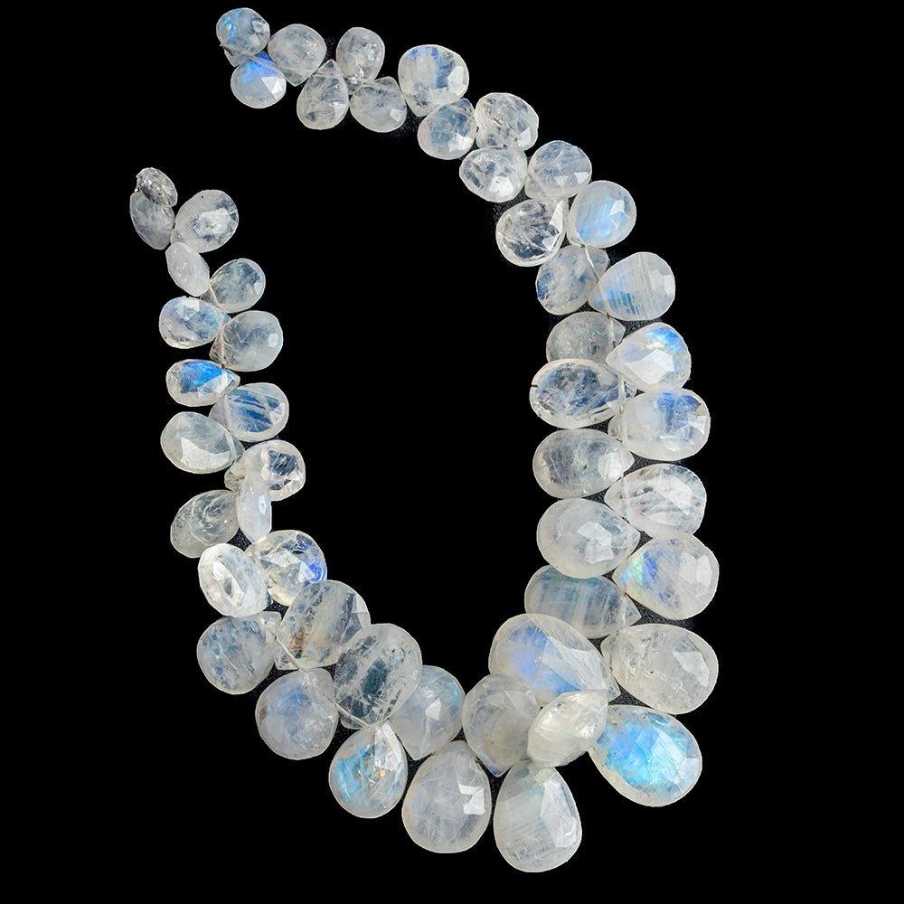13mm Rainbow Moonstone Faceted Pear Beads 8 inch 50 pieces - The Bead Traders