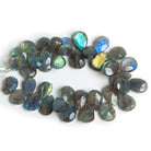 14x11mm Labradorite Faceted Pears 7.5 inch 35 beads - The Bead Traders