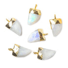 15x10mm Gold Leafed Rainbow Moonstone faceted horn focal Pendant 1 piece - The Bead Traders