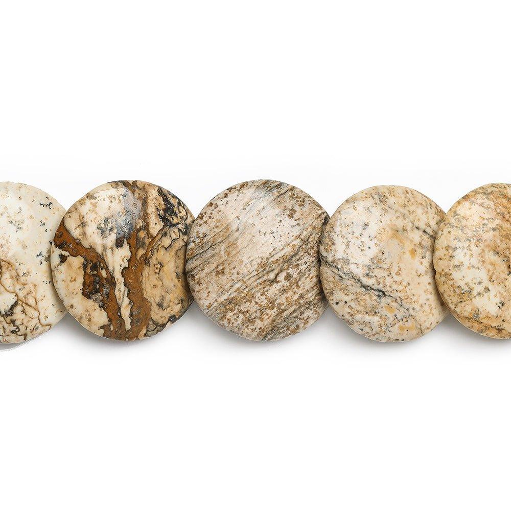 16mm Picture Jasper Overlapping Plain Coins 16 inch 31 beads - The Bead Traders