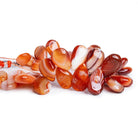 18x11mm Carnelian Plain Pears 8 inch 35 beads - The Bead Traders