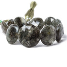 19-24mm Moss Quartz with Pyrite Straight Drill Coin 8 inch 10 beads - The Bead Traders