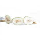 24x22-30x25mm Salmon and White Solar Quartz straight drilled Slice Beads 8.5 inch 9 pieces - The Bead Traders
