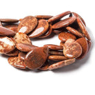 29x20mm Burnt Orange Fossil Coral straight drilled plain pears 16 inch 14 Beads - The Bead Traders