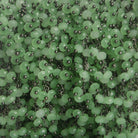 3mm Green Crystal rondelle Black Dangling Chain by the foot 97 beads - The Bead Traders