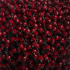 3mm Velvet Red Crystal rondelle Black Dangling Chain by the foot 97 beads - The Bead Traders