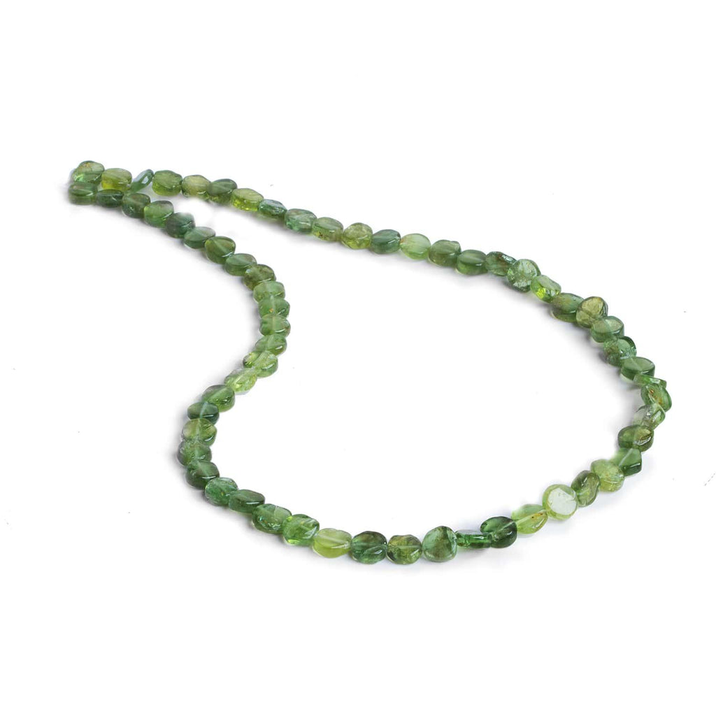 4-6mm Green Apatite Plain Coins 13 inch 60 beads - The Bead Traders