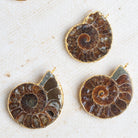40x30mm Gold Leafed Ammonite Focal 1 Bead - The Bead Traders