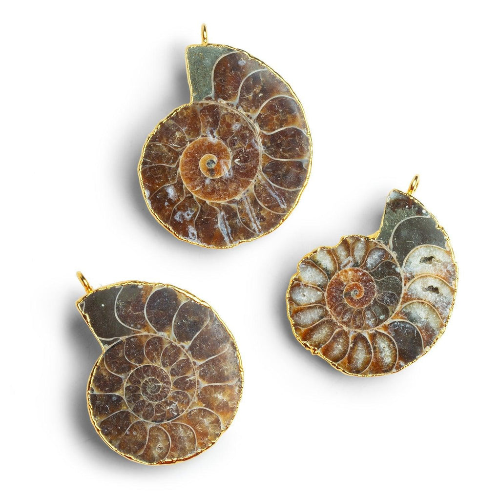 40x30mm Gold Leafed Ammonite Focal 1 Bead - The Bead Traders