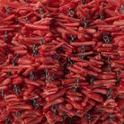 4x2-9x2mm Red Branch Coral clusters Black Gold plated Chain by the foot 120 beads - The Bead Traders