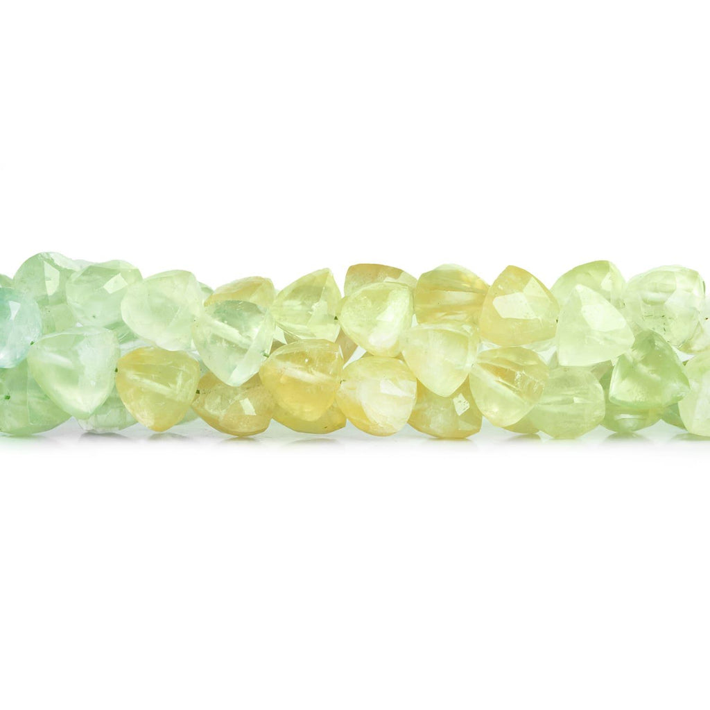 6-7mm Prehnite Faceted Trillions 8 inch 30 beads - The Bead Traders