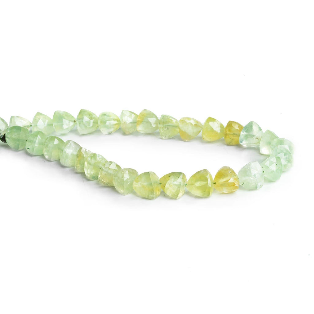 6-7mm Prehnite Faceted Trillions 8 inch 30 beads - The Bead Traders