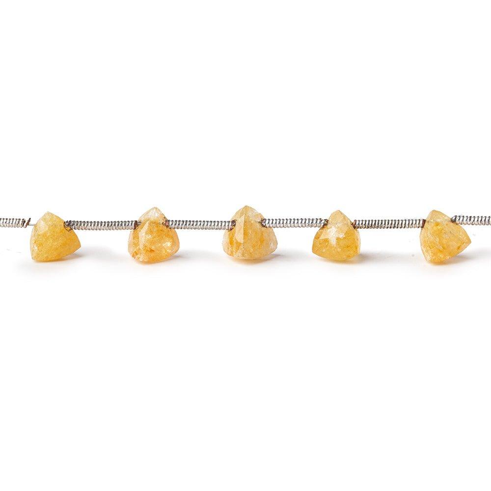 6mm Heliodor Yellow Beryl Top Drilled Faceted Trillions 8 inch 16 beads - The Bead Traders