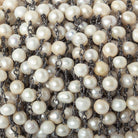 6x5mm Off White Off Round Freshwater Pearl Black Gold plated Chain by the foot 27 pieces - The Bead Traders