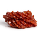 7mm Carnelian Handcut Coins - Lot of 9 - The Bead Traders