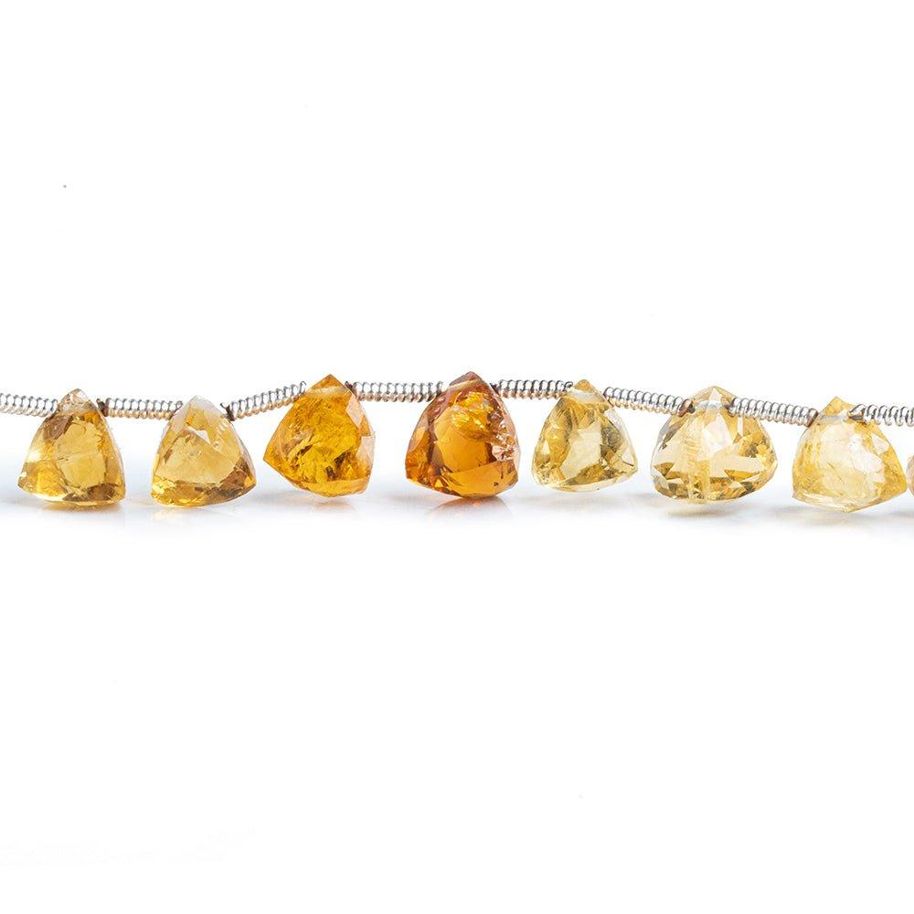 7mm Citrine Top Drilled Faceted Trillion Beads 8 inch 25 pieces - The Bead Traders
