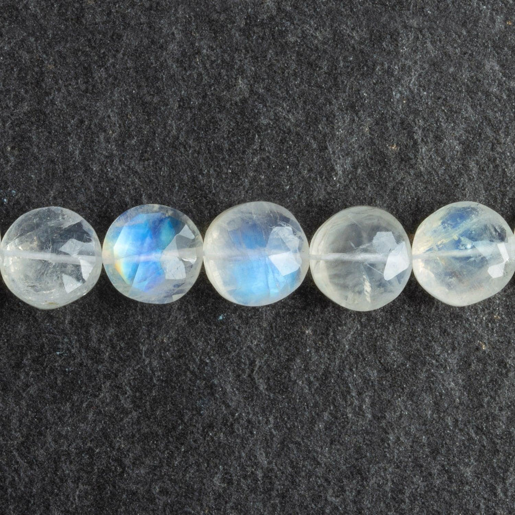 8-9mm Rainbow Moonstone Faceted Coins 16 inch 45 beads - The Bead Traders