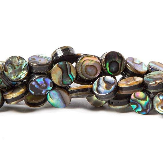 8mm Abalone Shell plain coin Beads 16 inch 50 pieces - The Bead Traders
