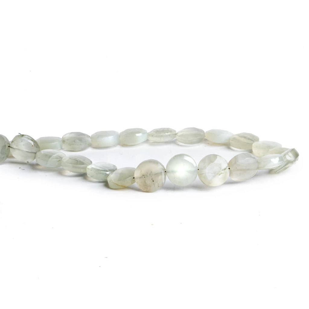 9mm Ceylon Moonstone Faceted Coins 8 inch 21 beads - The Bead Traders