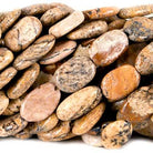 9mm Picture Jasper Plain Oval Beads, 14 inch - The Bead Traders