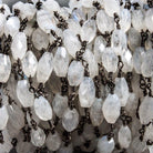 9x5mm Rainbow Moonstone navette Black Gold Filled Chain by the foot 19 pcs - The Bead Traders