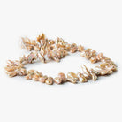 Beige Top Drilled Keshi Freshwater Pearls 15 inch 70 pieces - The Bead Traders
