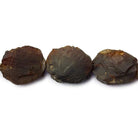 Chestnut Brown Hammer Faceted Oval Beads - The Bead Traders