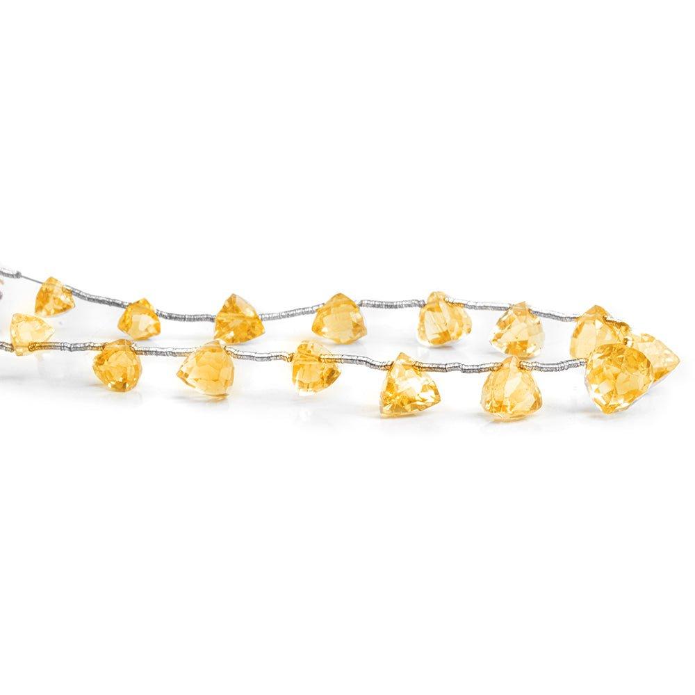 Citrine Faceted Trillion Beads 7 inch 15 pieces - The Bead Traders