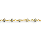 Dalmatian Jasper Faceted Rondelle Gold Chain 38 pieces - The Bead Traders