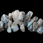 Dalmation Rainbow Moonstone Tumbled Natural Crystals 7 inch 50 beads 9x7-20x17mm - The Bead Traders