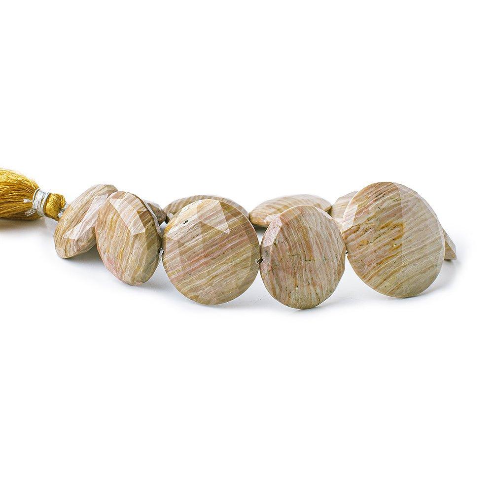 Desert Cliff Striated Jasper Straight Drilled Faceted Coin Beads 8 inch 10 pieces - The Bead Traders