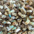 Ethiopian Opal Chip Bead Black Gold Chain 34 beads - The Bead Traders
