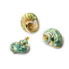 Gold Leafed Ocean Green Sea Shell Pendant 1 piece 32x25mm average - The Bead Traders