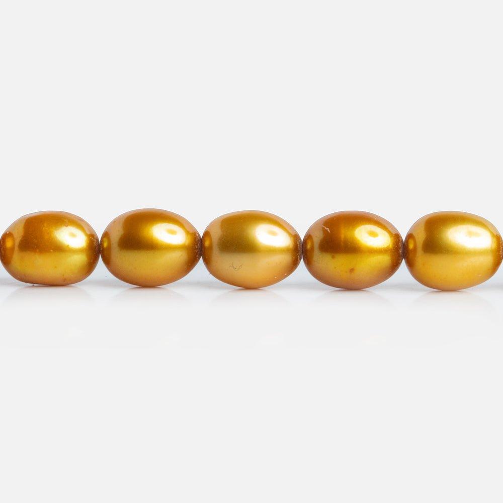 Golden Yellow Oval Freshwater Pearls 15 inch 55 pieces - The Bead Traders